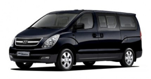 Коврик в багажник Hyundai Grand Starex II 2007-2018 (11 мест/8мест без последнего ряда)*