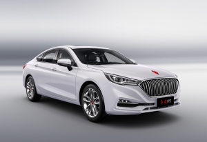 Коврик в багажник Hongqi H5 I 2017-2022